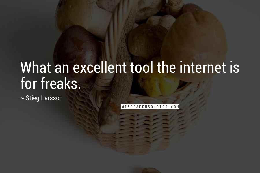 Stieg Larsson Quotes: What an excellent tool the internet is for freaks.