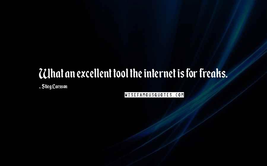 Stieg Larsson Quotes: What an excellent tool the internet is for freaks.