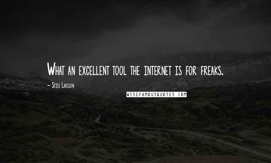 Stieg Larsson Quotes: What an excellent tool the internet is for freaks.