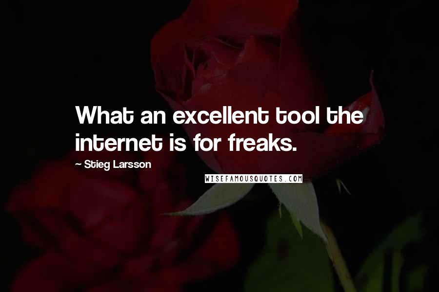 Stieg Larsson Quotes: What an excellent tool the internet is for freaks.