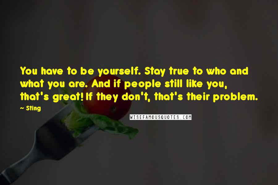 Sting Quotes: You have to be yourself. Stay true to who and what you are. And if people still like you, that's great! If they don't, that's their problem.