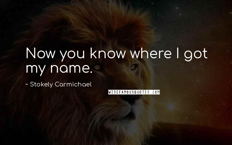 Stokely Carmichael Quotes: Now you know where I got my name.