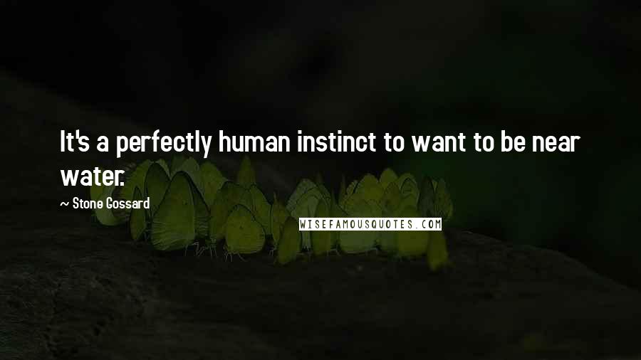 Stone Gossard Quotes: It's a perfectly human instinct to want to be near water.