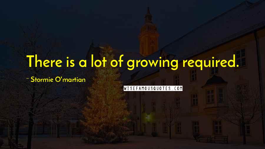 Stormie O'martian Quotes: There is a lot of growing required.