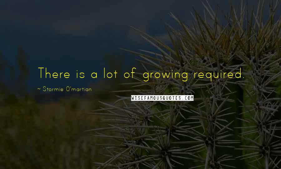 Stormie O'martian Quotes: There is a lot of growing required.