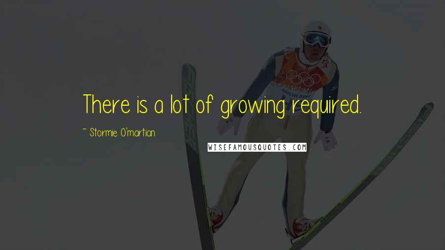 Stormie O'martian Quotes: There is a lot of growing required.