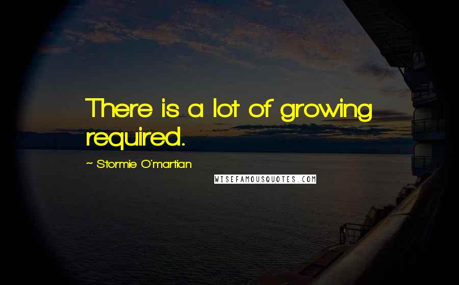 Stormie O'martian Quotes: There is a lot of growing required.