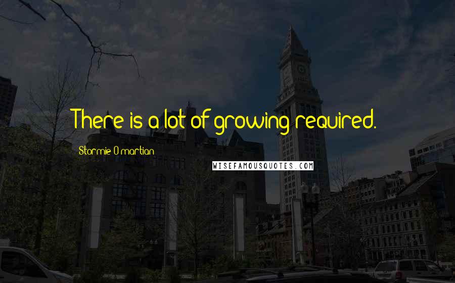 Stormie O'martian Quotes: There is a lot of growing required.