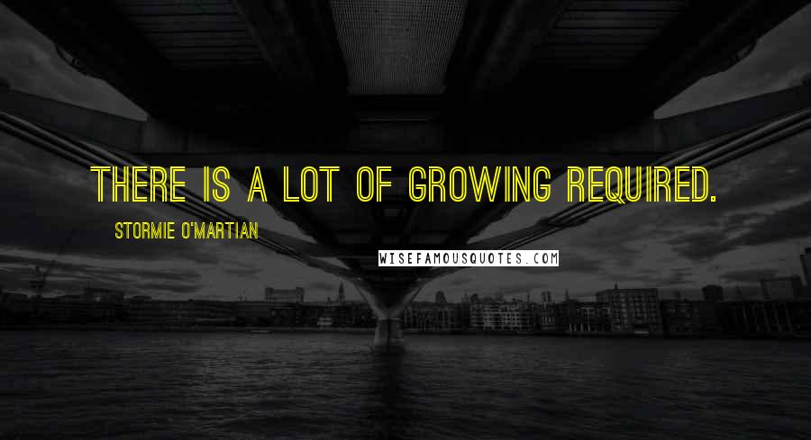 Stormie O'martian Quotes: There is a lot of growing required.