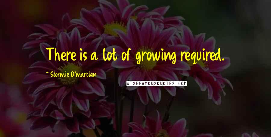 Stormie O'martian Quotes: There is a lot of growing required.