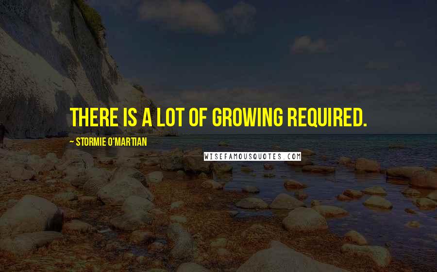 Stormie O'martian Quotes: There is a lot of growing required.