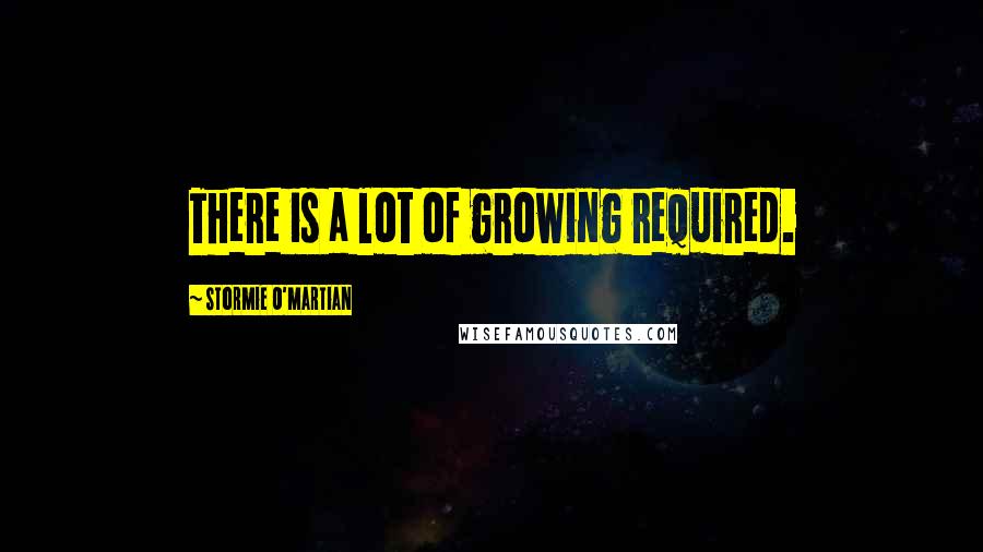 Stormie O'martian Quotes: There is a lot of growing required.