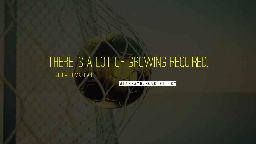 Stormie O'martian Quotes: There is a lot of growing required.