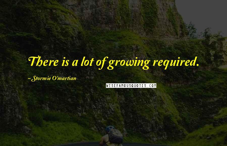 Stormie O'martian Quotes: There is a lot of growing required.