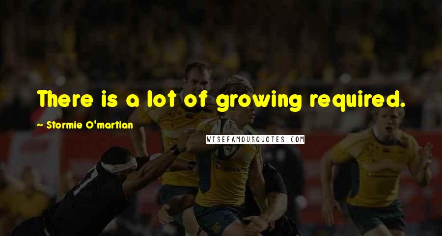 Stormie O'martian Quotes: There is a lot of growing required.