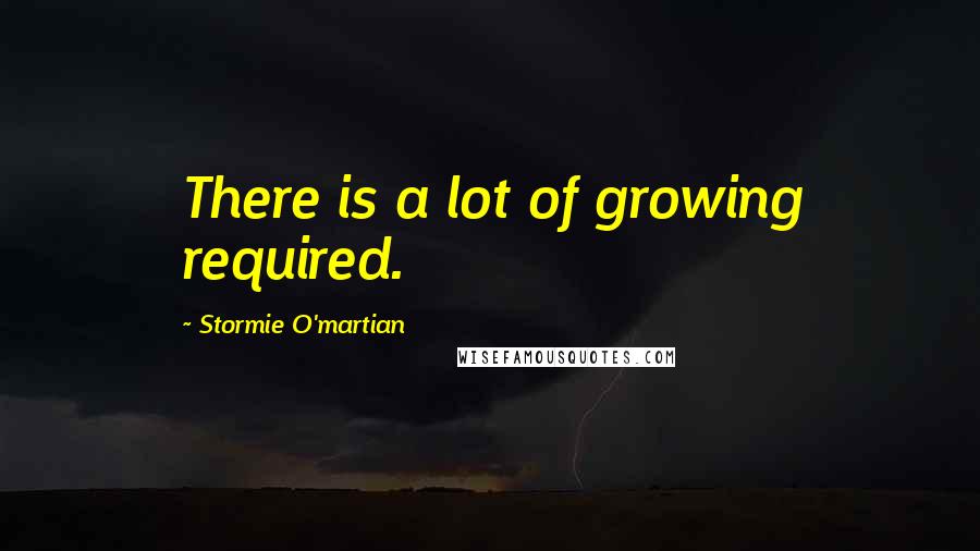 Stormie O'martian Quotes: There is a lot of growing required.