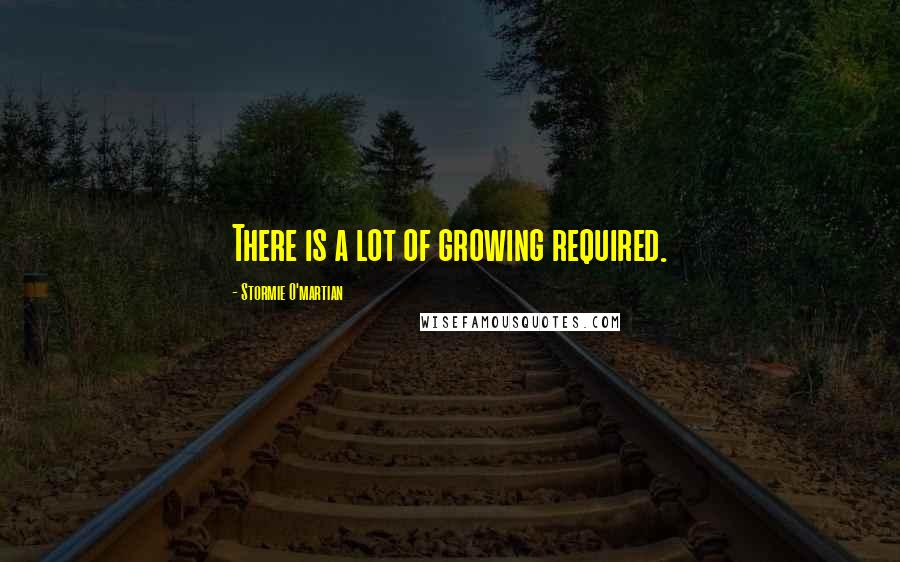 Stormie O'martian Quotes: There is a lot of growing required.