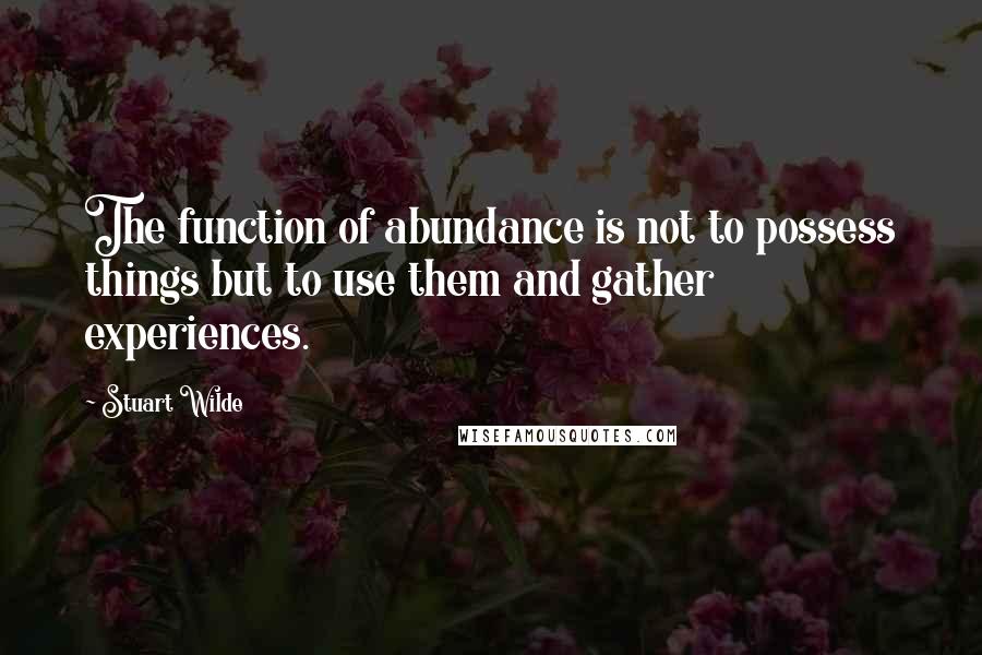 Stuart Wilde Quotes: The function of abundance is not to possess things but to use them and gather experiences.