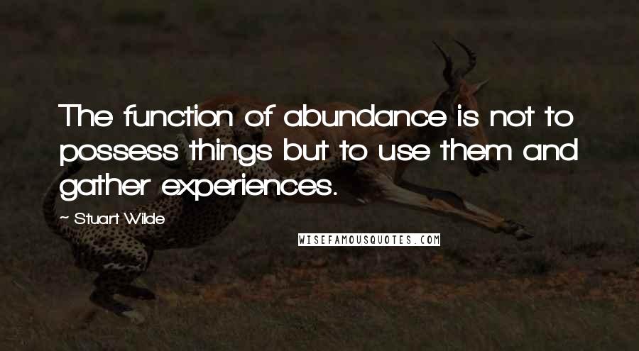 Stuart Wilde Quotes: The function of abundance is not to possess things but to use them and gather experiences.