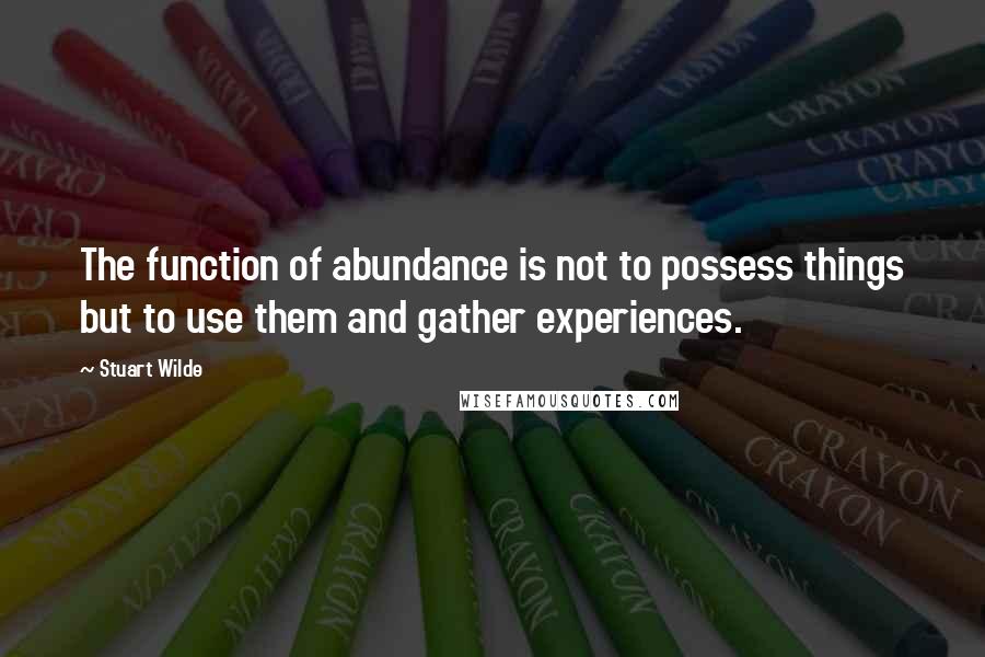 Stuart Wilde Quotes: The function of abundance is not to possess things but to use them and gather experiences.