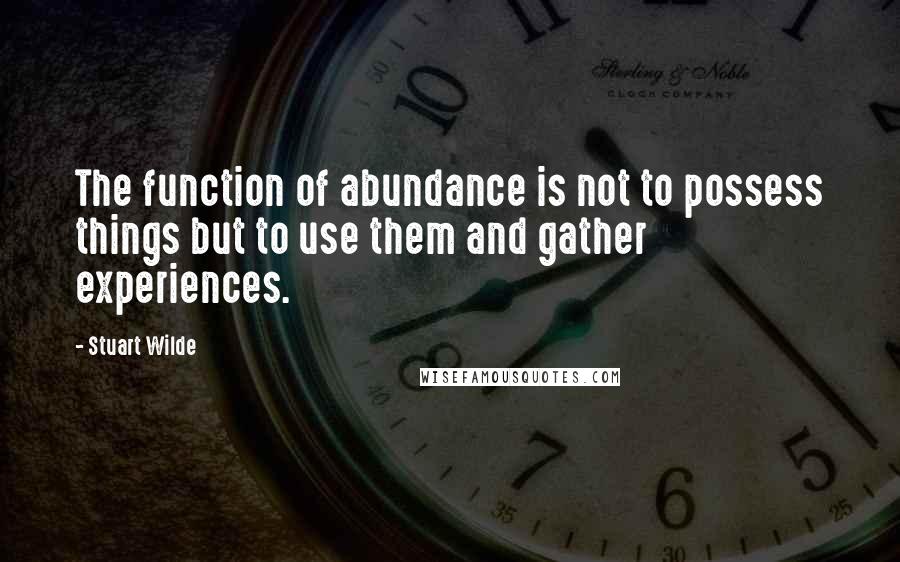 Stuart Wilde Quotes: The function of abundance is not to possess things but to use them and gather experiences.