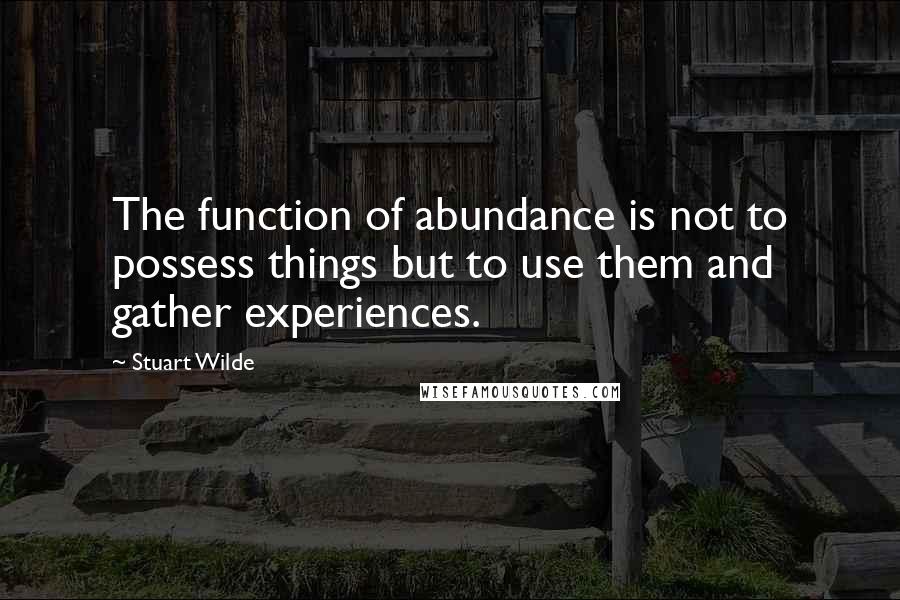 Stuart Wilde Quotes: The function of abundance is not to possess things but to use them and gather experiences.