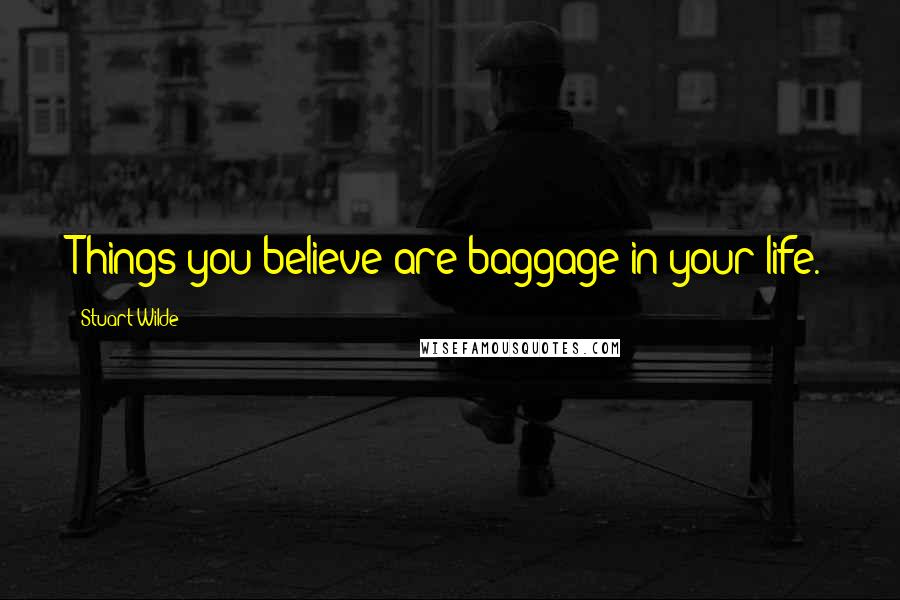 Stuart Wilde Quotes: Things you believe are baggage in your life.