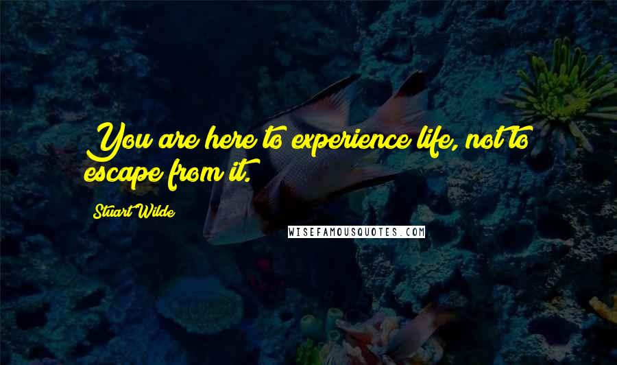 Stuart Wilde Quotes: You are here to experience life, not to escape from it.