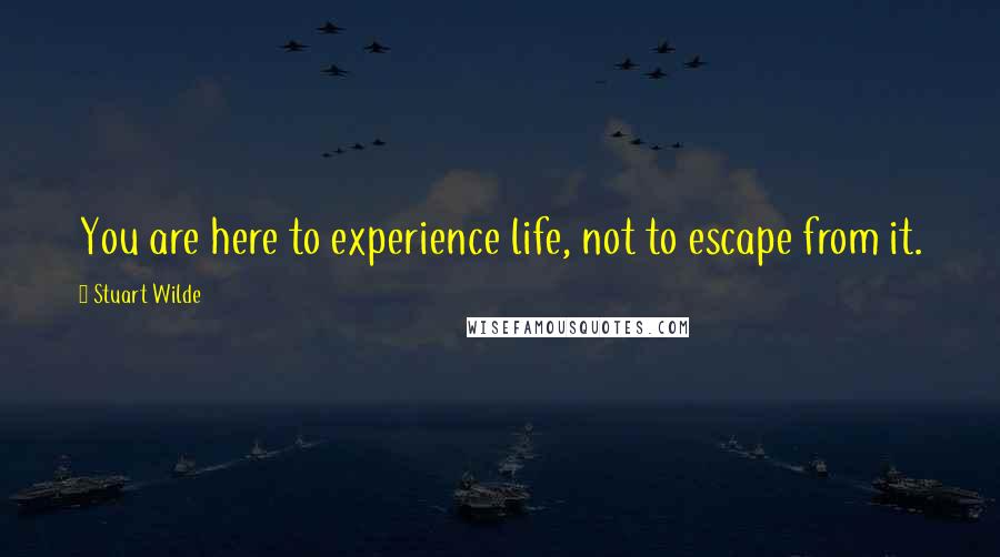 Stuart Wilde Quotes: You are here to experience life, not to escape from it.