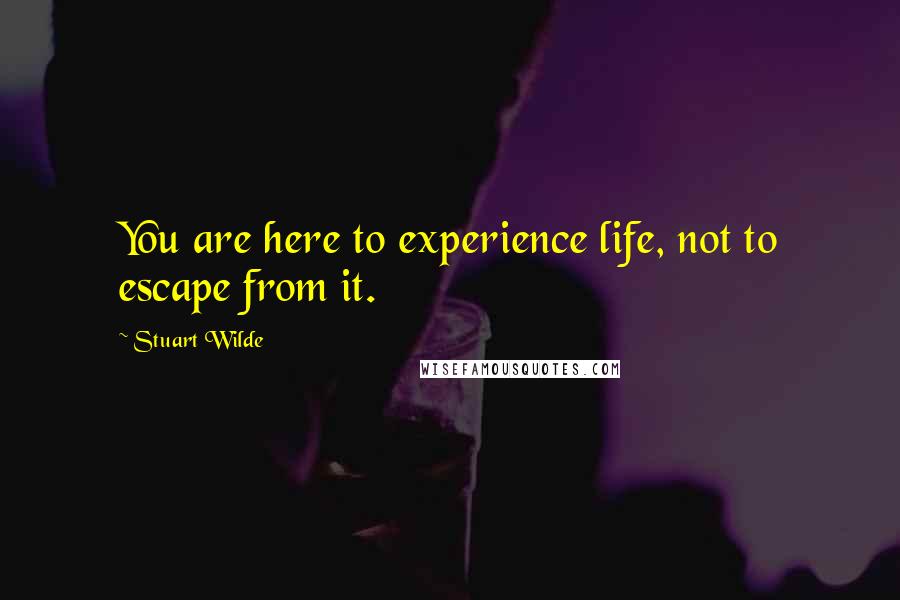 Stuart Wilde Quotes: You are here to experience life, not to escape from it.