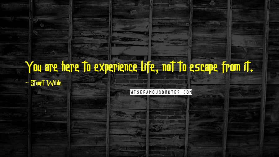 Stuart Wilde Quotes: You are here to experience life, not to escape from it.