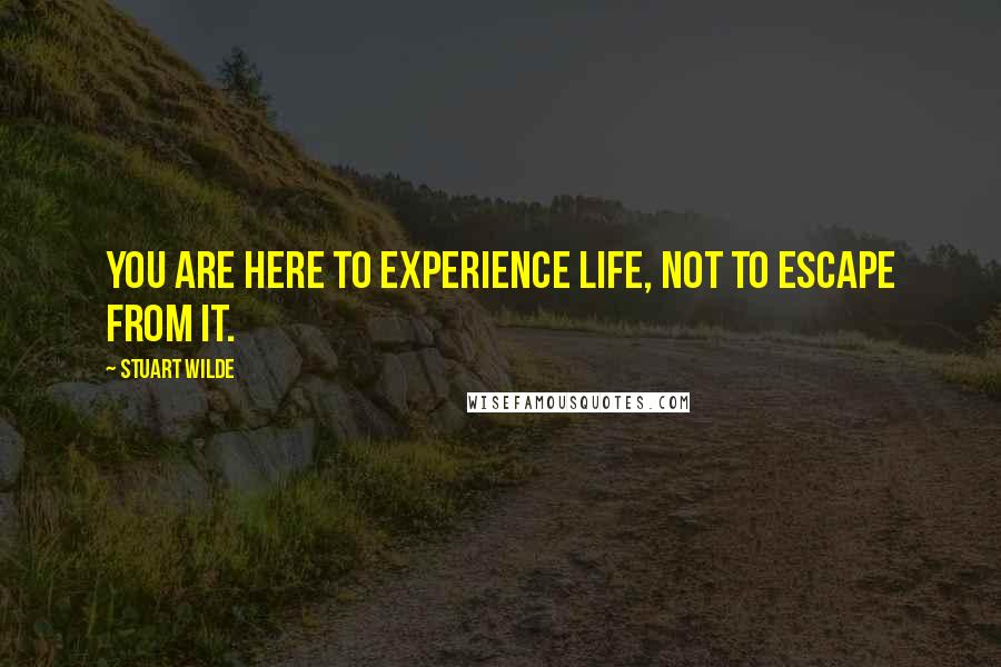 Stuart Wilde Quotes: You are here to experience life, not to escape from it.