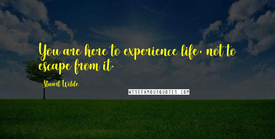 Stuart Wilde Quotes: You are here to experience life, not to escape from it.