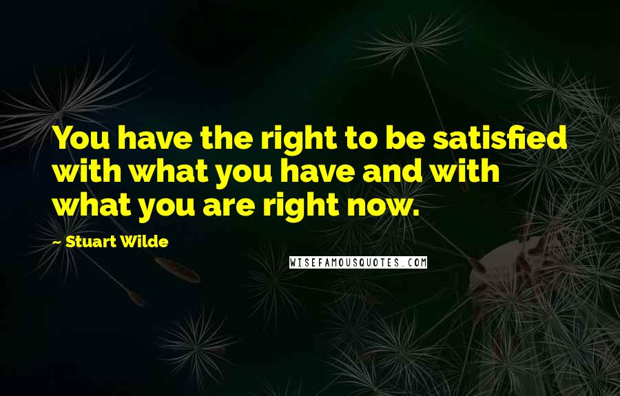 Stuart Wilde Quotes: You have the right to be satisfied with what you have and with what you are right now.