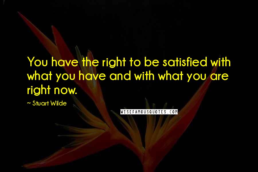 Stuart Wilde Quotes: You have the right to be satisfied with what you have and with what you are right now.