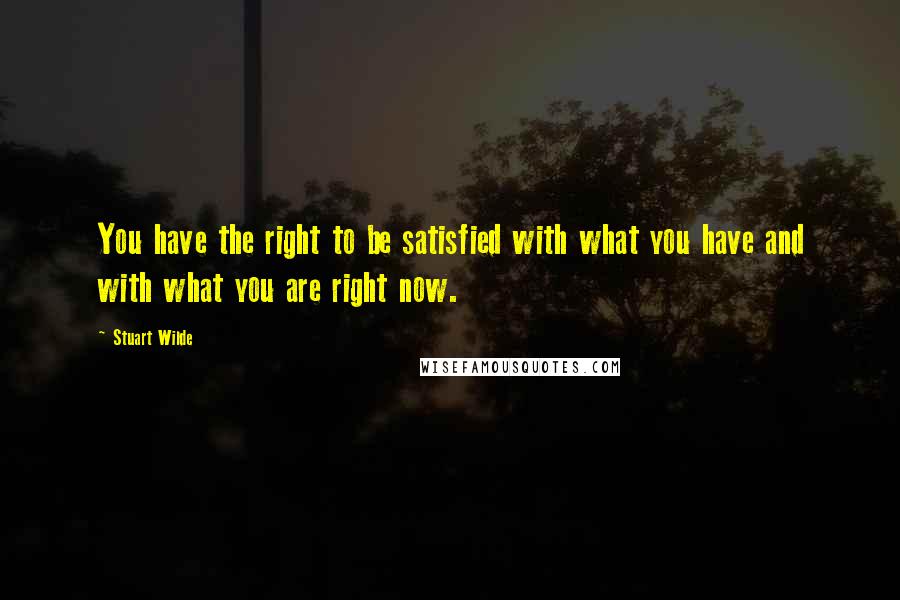 Stuart Wilde Quotes: You have the right to be satisfied with what you have and with what you are right now.