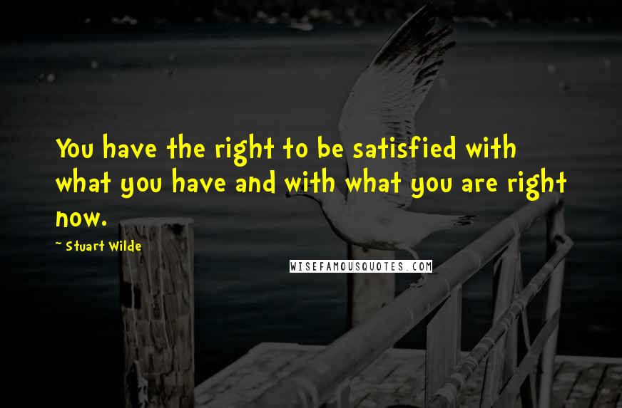 Stuart Wilde Quotes: You have the right to be satisfied with what you have and with what you are right now.