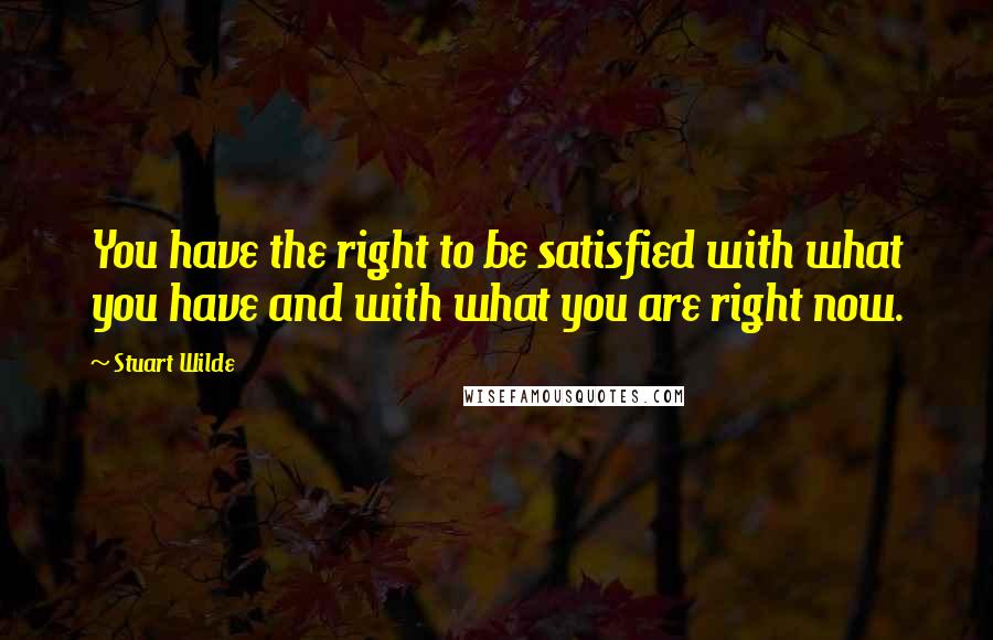 Stuart Wilde Quotes: You have the right to be satisfied with what you have and with what you are right now.