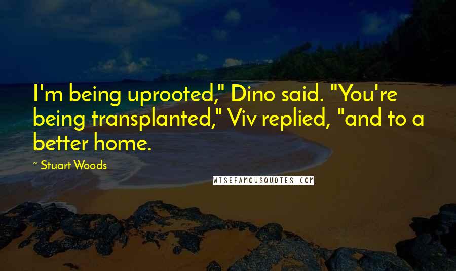 Stuart Woods Quotes: I'm being uprooted," Dino said. "You're being transplanted," Viv replied, "and to a better home.