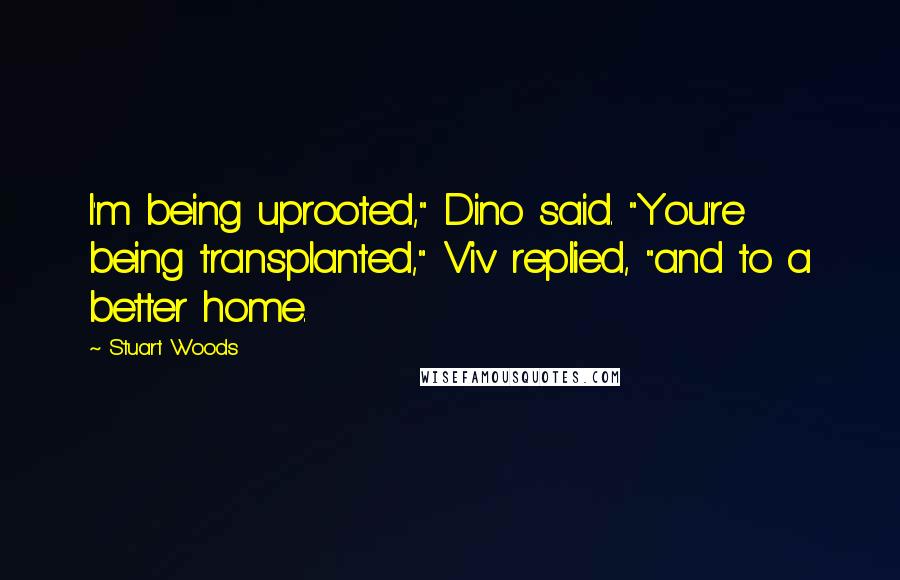 Stuart Woods Quotes: I'm being uprooted," Dino said. "You're being transplanted," Viv replied, "and to a better home.