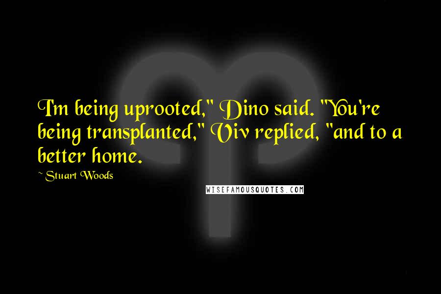 Stuart Woods Quotes: I'm being uprooted," Dino said. "You're being transplanted," Viv replied, "and to a better home.