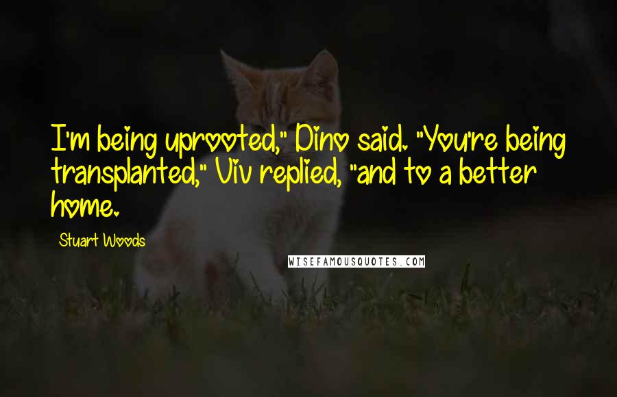 Stuart Woods Quotes: I'm being uprooted," Dino said. "You're being transplanted," Viv replied, "and to a better home.