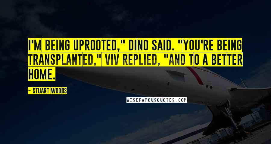 Stuart Woods Quotes: I'm being uprooted," Dino said. "You're being transplanted," Viv replied, "and to a better home.