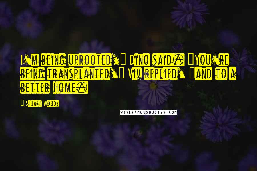 Stuart Woods Quotes: I'm being uprooted," Dino said. "You're being transplanted," Viv replied, "and to a better home.