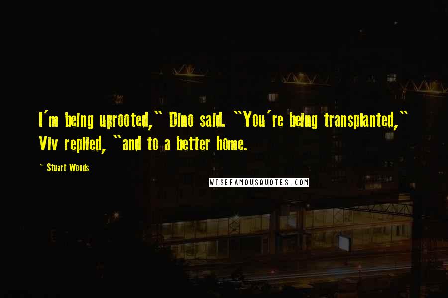 Stuart Woods Quotes: I'm being uprooted," Dino said. "You're being transplanted," Viv replied, "and to a better home.