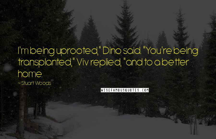 Stuart Woods Quotes: I'm being uprooted," Dino said. "You're being transplanted," Viv replied, "and to a better home.