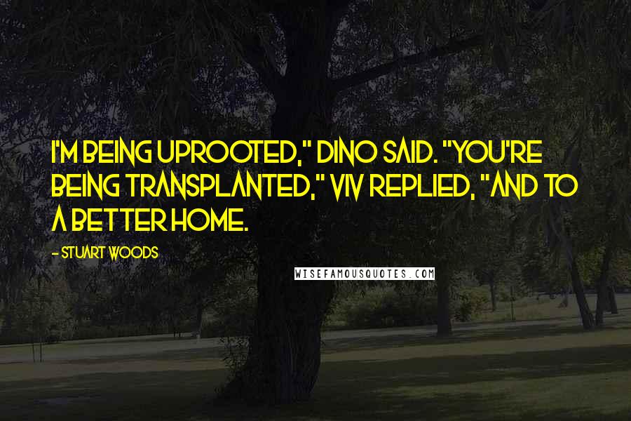 Stuart Woods Quotes: I'm being uprooted," Dino said. "You're being transplanted," Viv replied, "and to a better home.