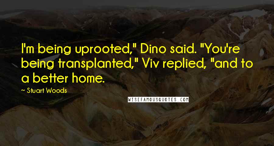 Stuart Woods Quotes: I'm being uprooted," Dino said. "You're being transplanted," Viv replied, "and to a better home.