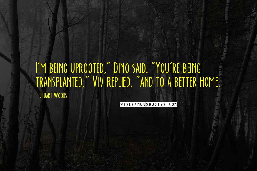 Stuart Woods Quotes: I'm being uprooted," Dino said. "You're being transplanted," Viv replied, "and to a better home.