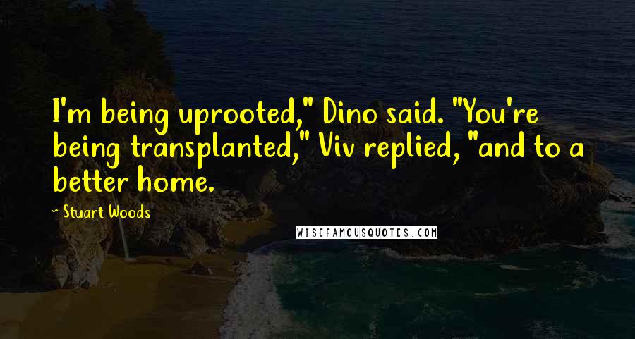 Stuart Woods Quotes: I'm being uprooted," Dino said. "You're being transplanted," Viv replied, "and to a better home.